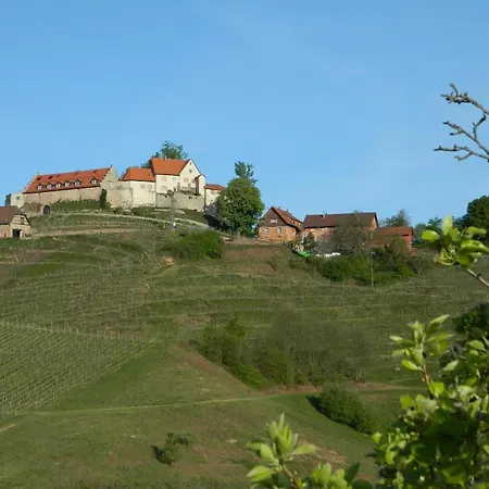 Ferienwohnung Im Haus Hurst Im Goldenen Weindorf 公寓